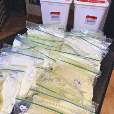 Bulk Buy 8kg Sour Cream